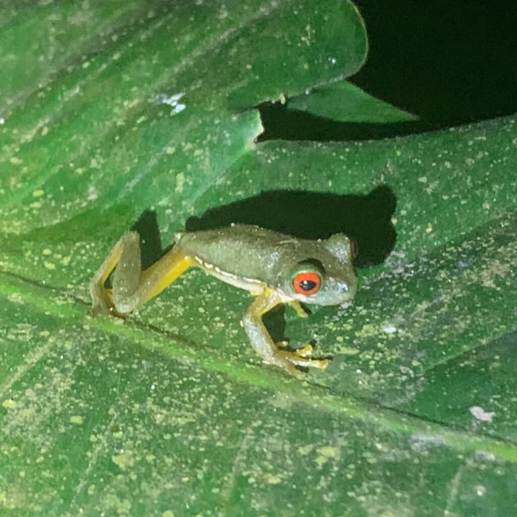 08baa588 1397 448d 8c97 13b63e8b892f