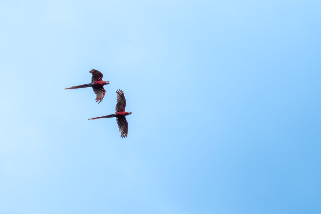 dsc00706 enhanced nr