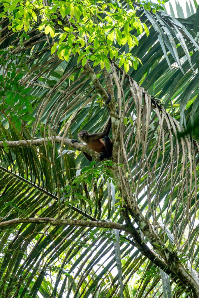 dsc01078 enhanced nr