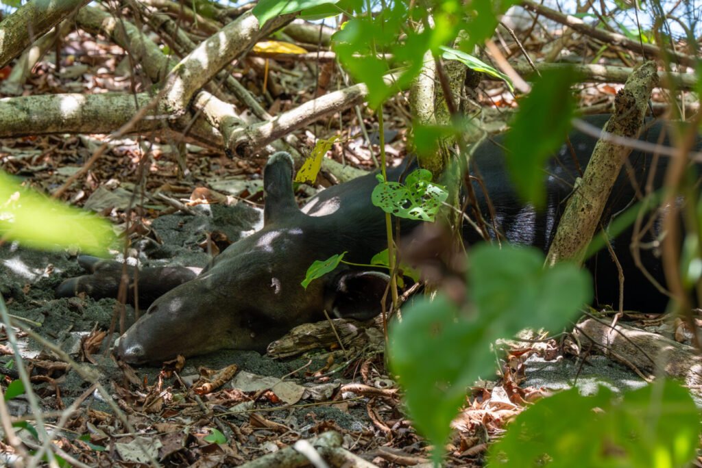 dsc01351 enhanced nr