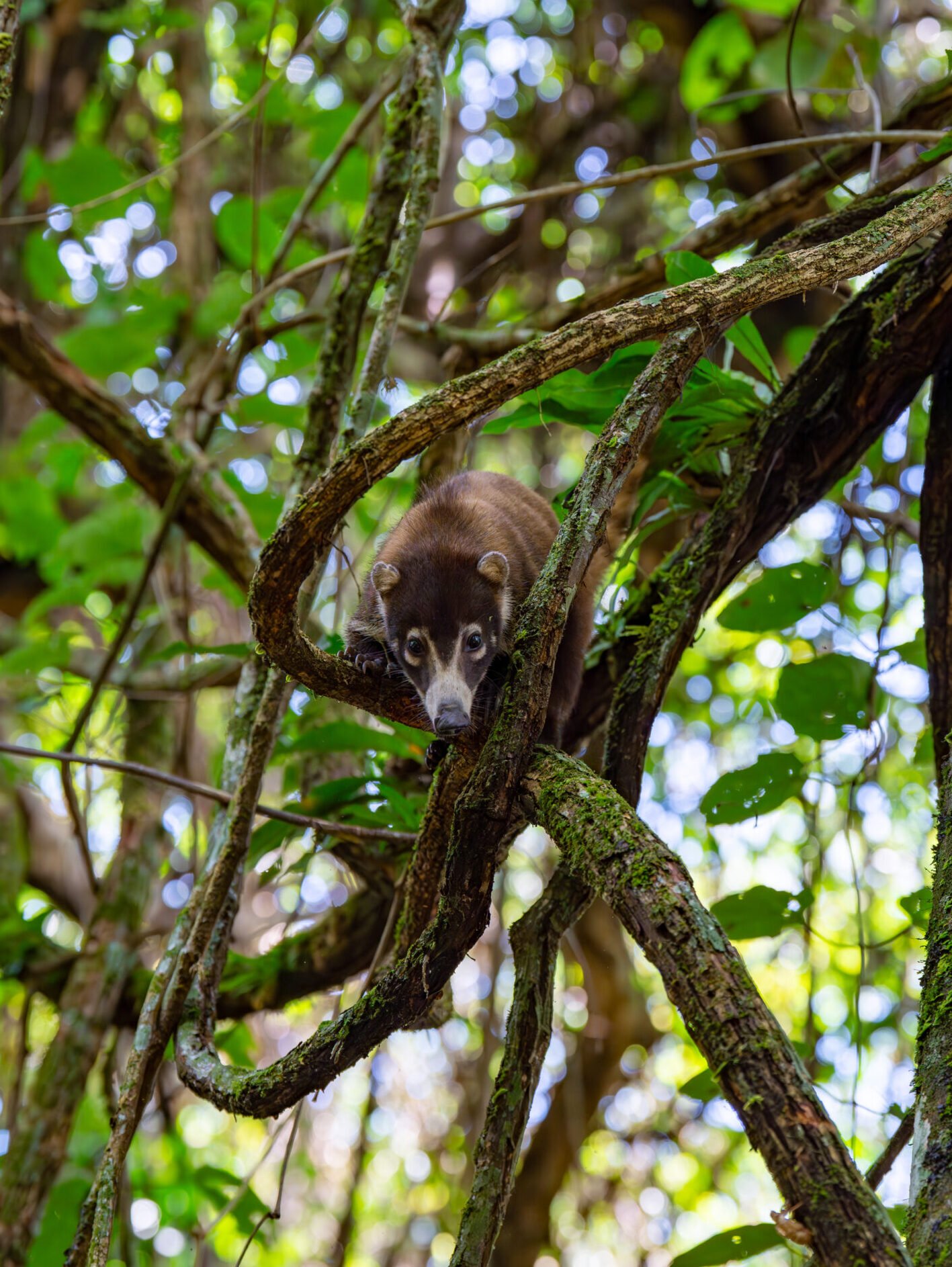 dsc01582 enhanced nr