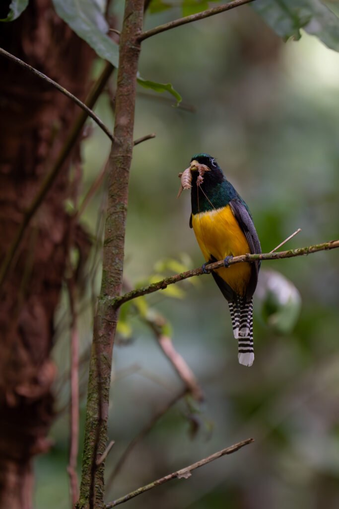 dsc02039 enhanced nr