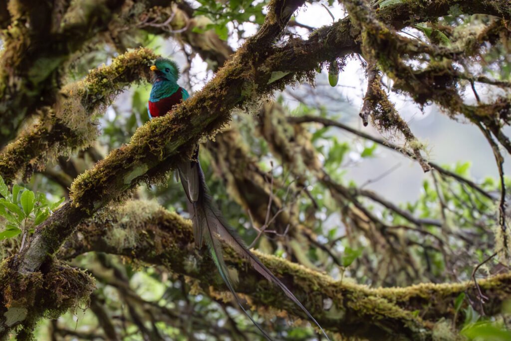 dsc02144 enhanced nr