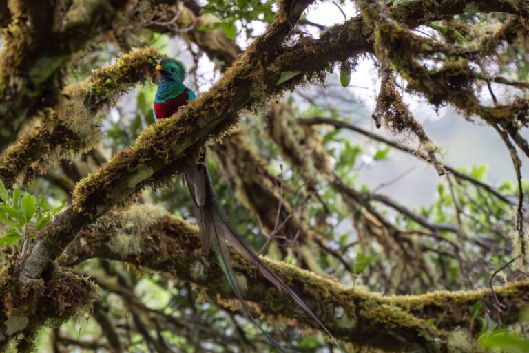 dsc02144 enhanced nr