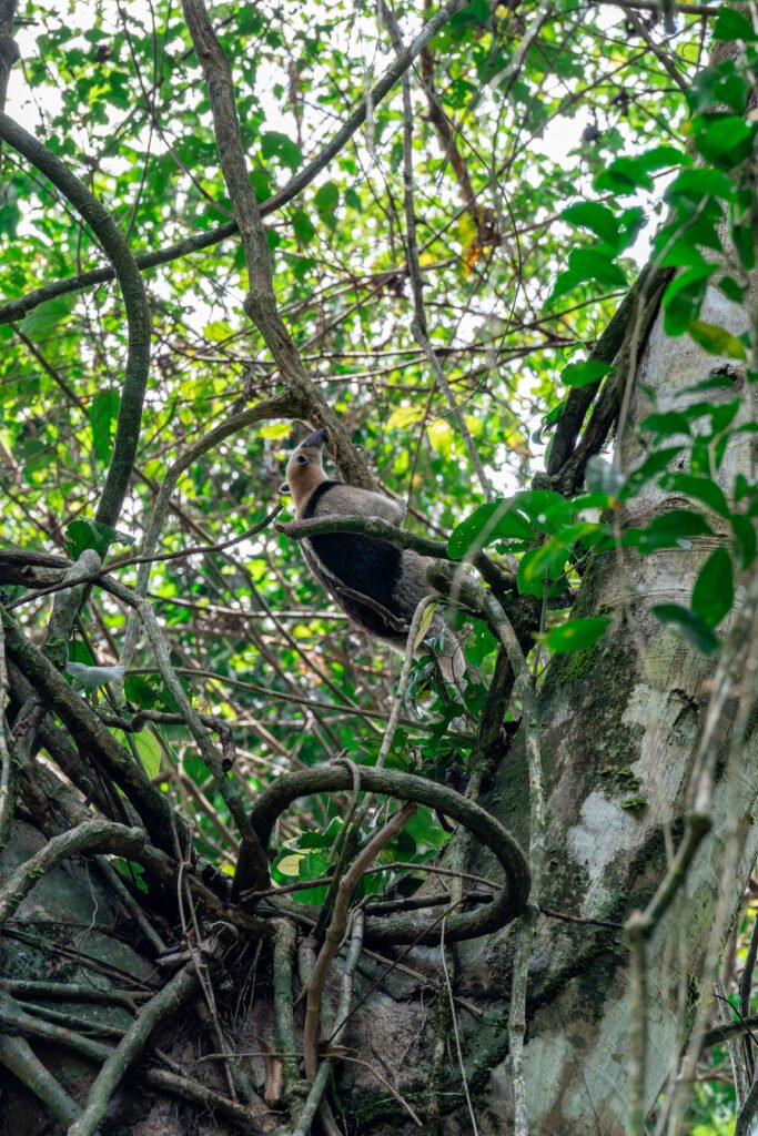 dsc01109 enhanced nr