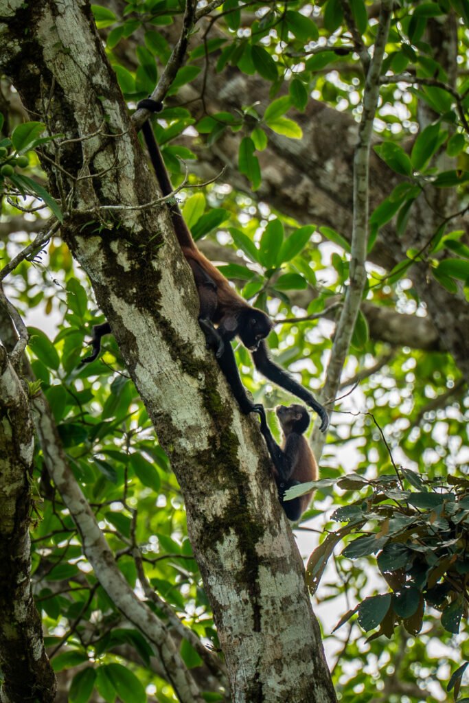 dsc01925 enhanced nr